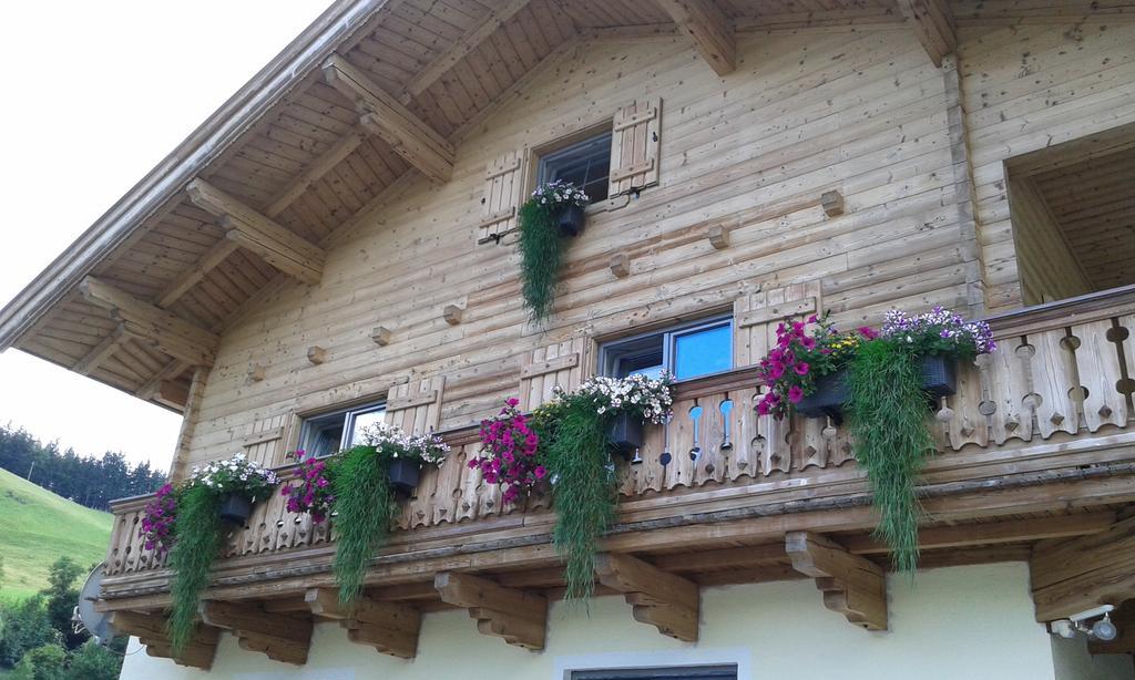 Appartement Haus Pichler Leogang Pokoj fotografie