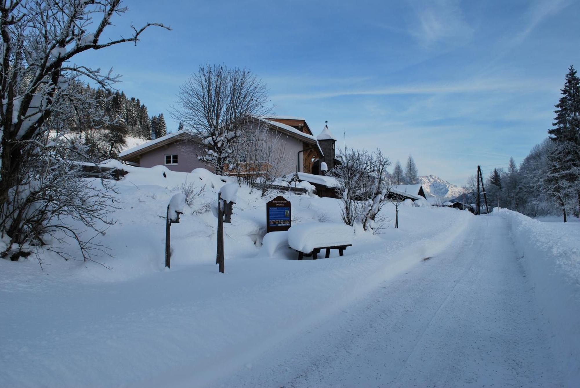 Appartement Haus Pichler Leogang Exteriér fotografie