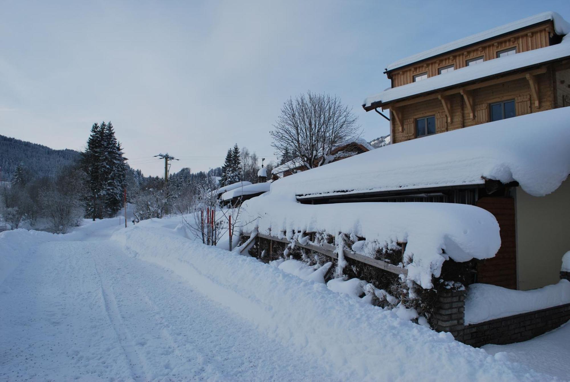Appartement Haus Pichler Leogang Exteriér fotografie