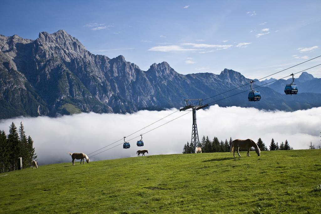 Appartement Haus Pichler Leogang Exteriér fotografie
